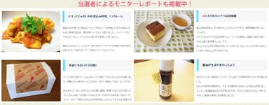 体験レポート