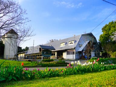 オオヤブデイリーファーム牧場風景