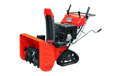 Bison11