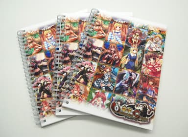 『姫奪!!』ノート