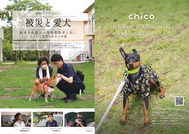 被災と愛犬