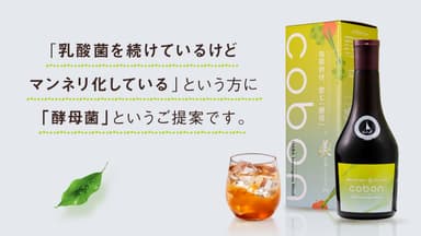 「酵母菌」のご提案