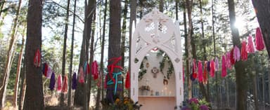 森の中で行う結婚式 イメージ