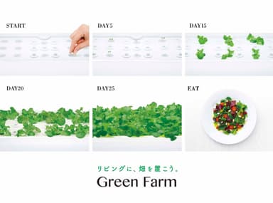 種まきから収穫
