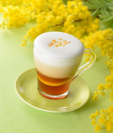 オレンジティー カプチーノ
