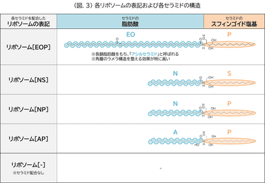 (図.3)各リポソームの表記および各セラミドの構造