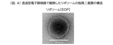 (図.4)透過型電子顕微鏡で観察したリポソームの脂質二重膜の構造