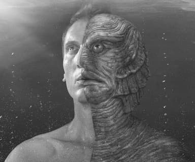 04 THE MERMAN