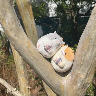 おソロで持てるニコぬいキーホルダー　種類は200種類以上！