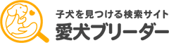 株式会社ピクシー