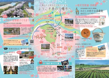 京都やわた散策　春号パンフレット(中面)