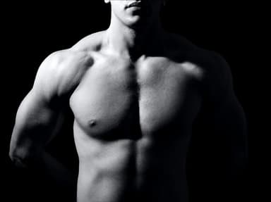 MAKE BODY