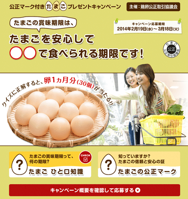 キャンペーンページ