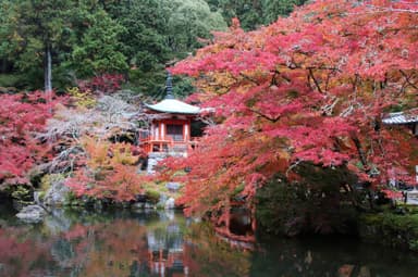秋の弁天堂