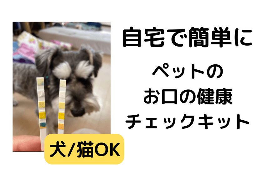＜特許出願技術＞ 「ペットのお口の健康チェックキット」
5月20日にクラウドファンディングを開始