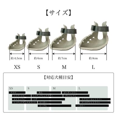 サイズ