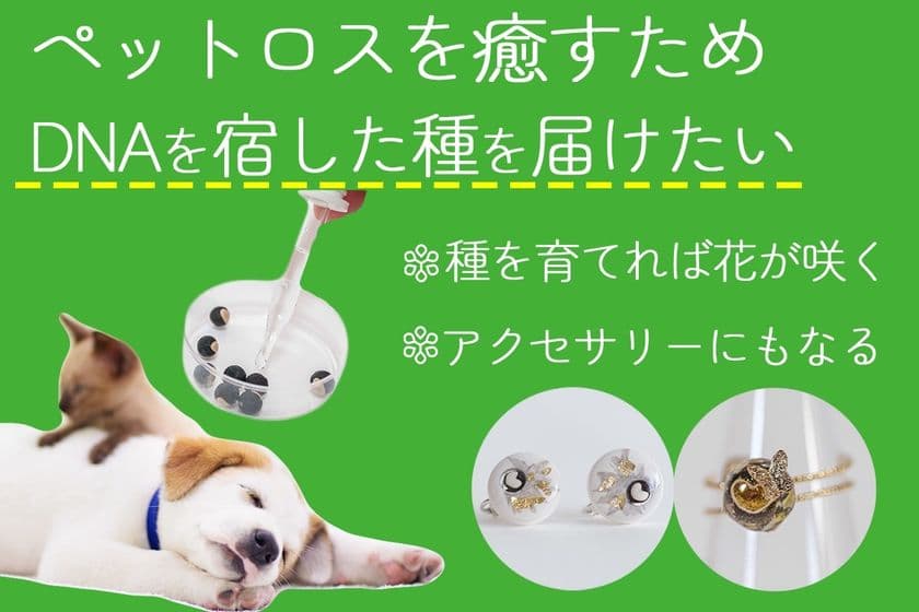 ペットのDNA×植物のタネでペットロスに寄り添う新サービス
『Yuishu(ゆいしゅ)』が5月15日にクラウドファンディングを開始