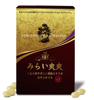 みらい爽爽