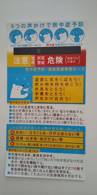 カード表
