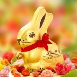 ゴールドバニー