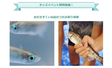 KIDSエリア
