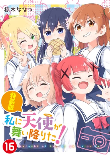 『私に天使が舞い降りた！』第16巻　特装版