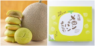 茨城メロンパンまんじゅう