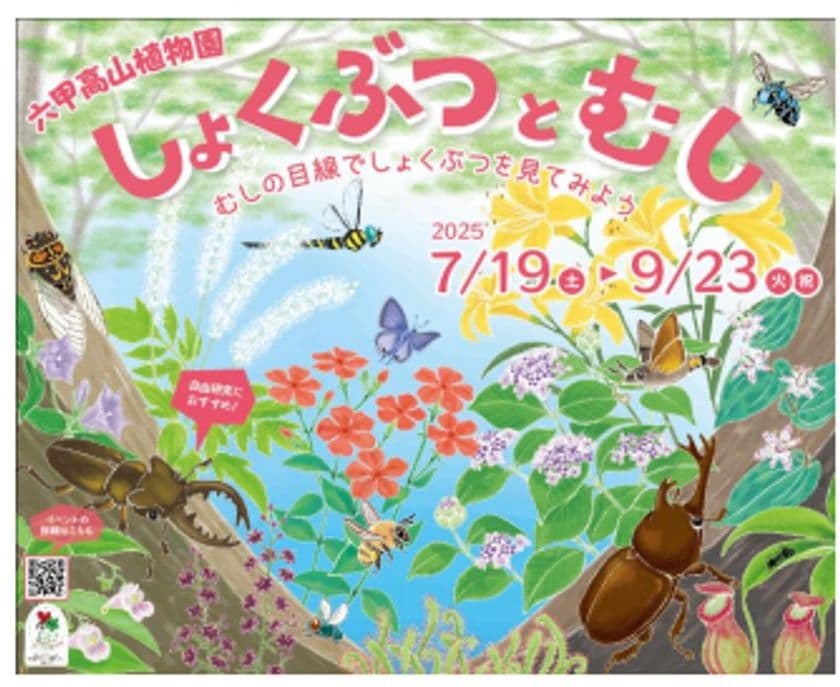 六甲高山植物園×伊丹市昆虫館
夏イベント「しょくぶつとむし」開催決定！