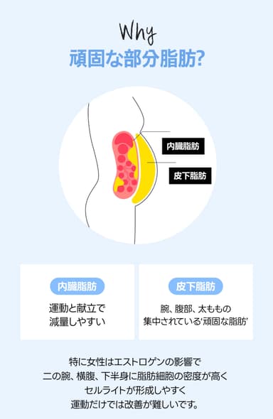イメージ4