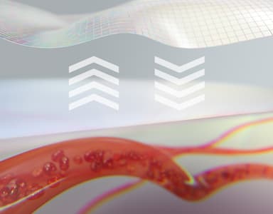 血行促進繊維 VITALTECH(R) イメージ(2)