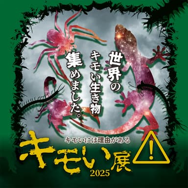 メインビジュアル