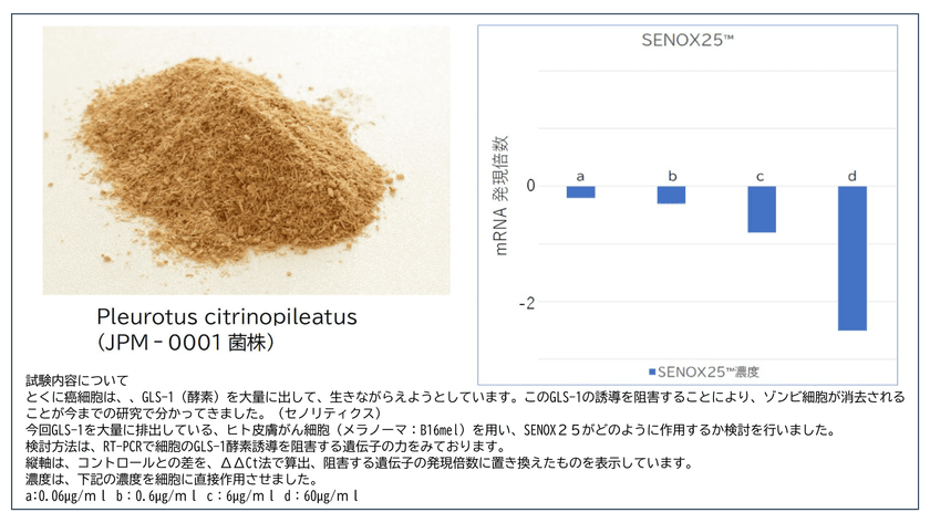 老化細胞を除去するセノリティクス新素材
「SENOX25(TM)」に関する情報を日本医療製薬が公開