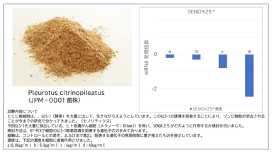 SENOX25(TM)と試験データ