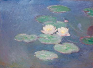 クロード・モネ《睡蓮、夕暮れの効果》1897年 油彩／カンヴァス マルモッタン・モネ美術館、パリ (C) musee Marmottan Monet／Studio Christian Baraja SLB