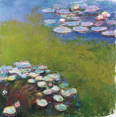 クロード・モネ《睡蓮》1914-1917年頃 油彩／カンヴァス マルモッタン・モネ美術館、パリ (C) musee Marmottan Monet