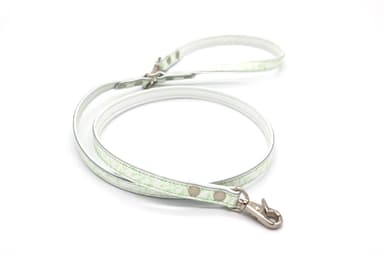 leash