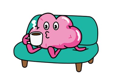 脳くん3