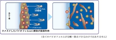 バイオフィルムの分解・除去メカニズム(イメージ図)