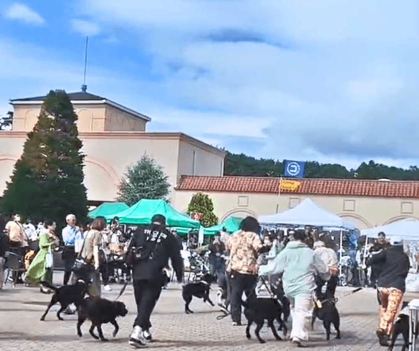 ワンちゃんイベント大盛況！！
那須ガーデンアウトレットin with Dogs club
【Happy！ワンDaysフェスタ】