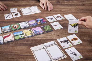 試遊写真2