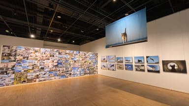 過去の展示の様子(宝塚市立文化芸術センター)1