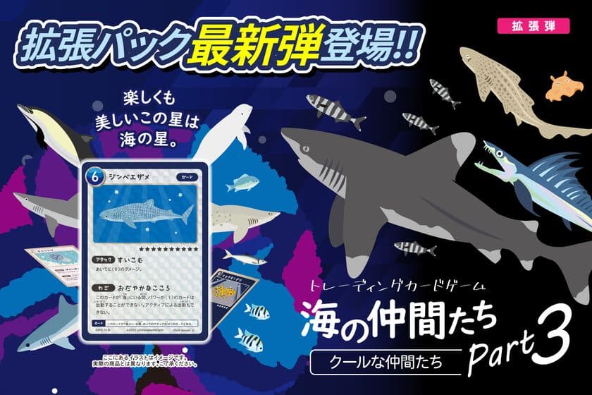 子どもが夢中！海の生き物のカードゲーム第3弾リリース　
無料タイピングゲーム＆特典イベントもこの夏登場！