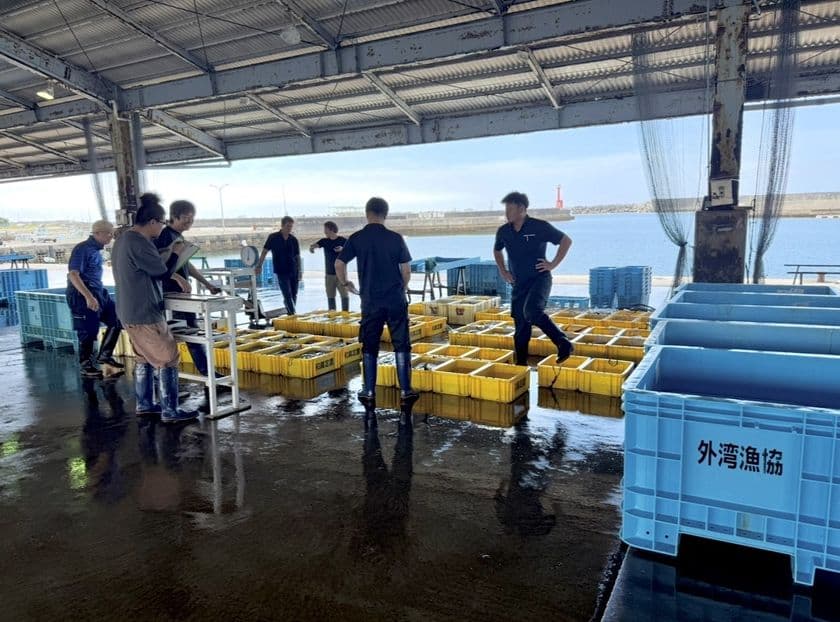 漁師と食卓を結ぶ、新しい魚の流通モデル
「UOLOVE(うおらぶ)」8月11日(月・祝)に開始