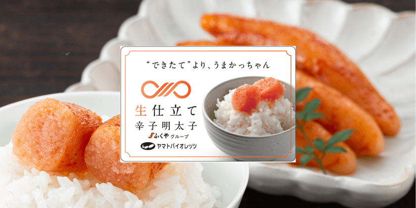 “できたて”を超える“生”食感　漁獲直後の船上1回冷凍。
工場入荷後1度も冷凍しない「生仕立て辛子明太子」、
ついに販売開始！