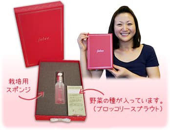 環境配慮とワクワク感の両立