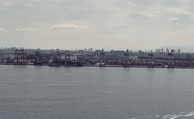 【1.6km先の対岸を等倍で撮影した画像】