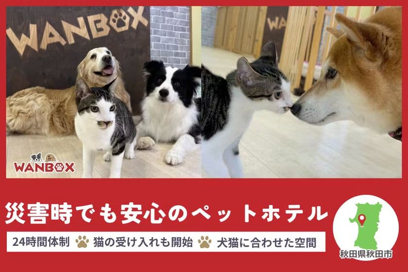 秋田県・WANBOX、災害時のペット避難問題に挑む　
犬猫専用の避難施設設立のためCAMPFIREで支援募集