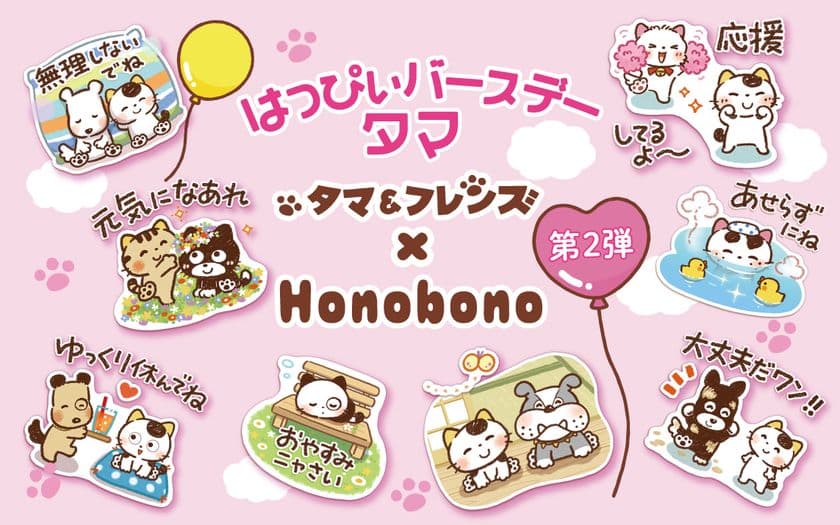 大人気イラストレーター「Honobono」×「タマ＆フレンズ」の
コラボ第2弾が決定！
6月28日(土)タマの誕生日にオリジナルLINEスタンプを発売！！
