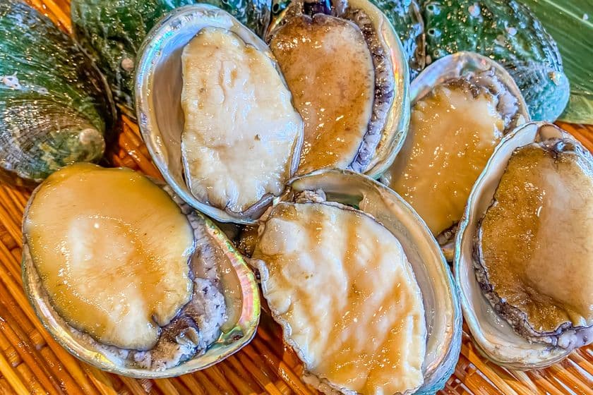 鮮度抜群の活鮑をプレゼント！！
湘南・茅ヶ崎の海鮮BBQ食べ放題専門店“ちがさき倶楽部”が
店舗改装記念として『活鮑プレゼントキャンペーン』を開催！