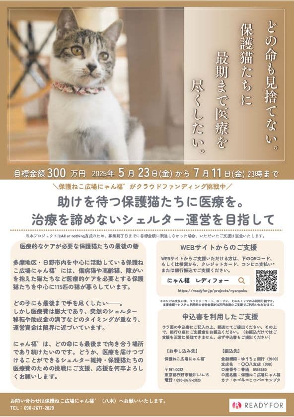 保護猫たちの治療を諦めないシェルター運営を目指し、
7月11日までクラウドファンディングを実施
